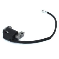 Armature Magneto Ignition Coil for Briggs Straton 9hp - 14hp Vanguard 592841 799650 795315 595304 690248 715231 21M114 21M214