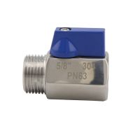 5/8 BSP PN63 Mini Ball Valve 304 Stainless Steel Mini Sanitary Female To Male Ball Valve For Homebrew Beer Keg Coupler