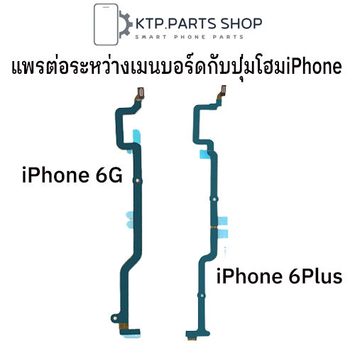 แพรต่อระหว่างเมนบอร์ดกับปุ่มโฮม  iPhone 6 / iPhone 6 Plus