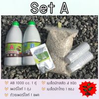 [พร้อมส่ง]!!!ลดชุดทดลองปลูก SET A  (ธาตุอาหารสารละลาย AB)[สินค้าใหม่]