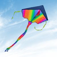 hot【DT】™  YongJian kite coloring Kite for Kids   Adults with 100m String Large Beach Outdoor Games and Activities