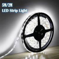 【CW】 2M/5M Strip Lights 12V 2835 120/300Led TV Backlight Car Room Decoration New Year 2022 Led Tape