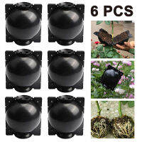 6Pcs Plant Root Growing Grafting Rooting Ball Garden Rooting Nursery แรงดันสูง Propagation Ball Garden อุปกรณ์เสริม