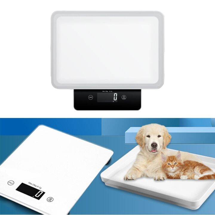 Small Pet Digital Scale With Detachable Tray Weighing Tools LCD Display