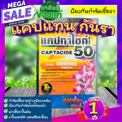 ยากันรา 💦 แคปแทน 1 กิโล (Captan - Captacide 50) ราในกระบองเพชร ไม้อวบน้ำ แคคตัส บอนสี ไม้ประดับ ยาเพาะเมล็ด ฆ่าเชื้อราในดิน โรคเน่า homes