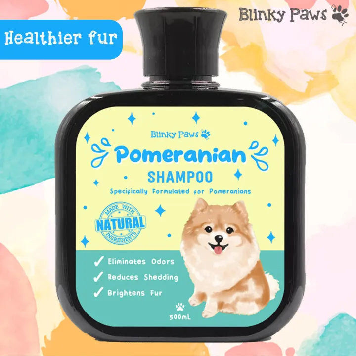 What Is The Best Shampoo For A Pomeranian