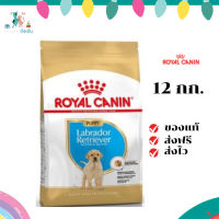 ✨ จัดส่งฟรี Royal Canin Labrador Retriever Puppy 12kg อาหารเม็ดลูกสุนัข พันธุ์ลาบราดอร์ รีทรีฟเวอร์ อายุต่ำกว่า 15 เดือน  เก็บเงินปลายทาง ✨