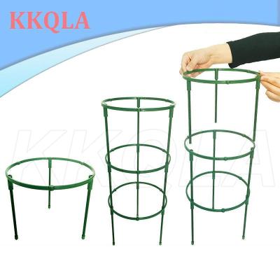 QKKQLA Plant Support Pile Stand climb for Flowers grow Semicircle Greenhouses Arrangement Fixing Rod Holder Orchard Garden Bonsai Tool