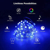 Christmas Festoon LED String Lights Fariy Light 20m Bluetooth Outdoor Waterproof For 2021 Christmas Garden Bedroom Decoration