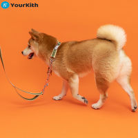 YourKith Dogs Accessories Dog Leash And Collar Set All In One P-Type Leash Collar For Dogs Traction Rope Supplies