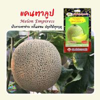 เมล็ดแคนตาลูป ลูกผสมเอ็มไพร์11 Melon Empire11 ตราภูเขาทอง เมล็ดพันธุ์แคนตาลูป เมล็ดพันธุ์เมล่อน เมล็ดเมล่อน