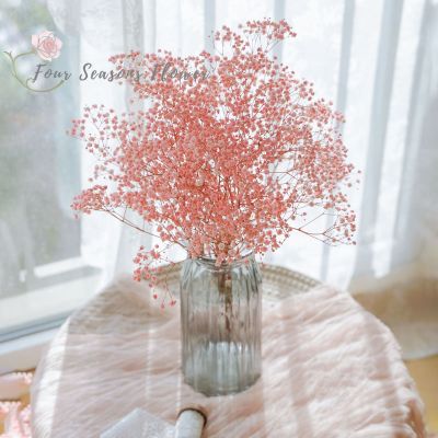 [AYIQ Flower Shop] 30G ดอกยิปโซโฟลดอกไม้แห้งดอกไม้งานแต่งงานช่อดอกไม้ฉากหลังปาร์ตี้งานฝีมือตกแต่งทำด้วยมือตกแต่งบ้าน