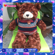 Gấu Bông Teddy Cao Cấp Size 50Cm Vnxk lông gấu mềm mịn, dày dặn thumbnail