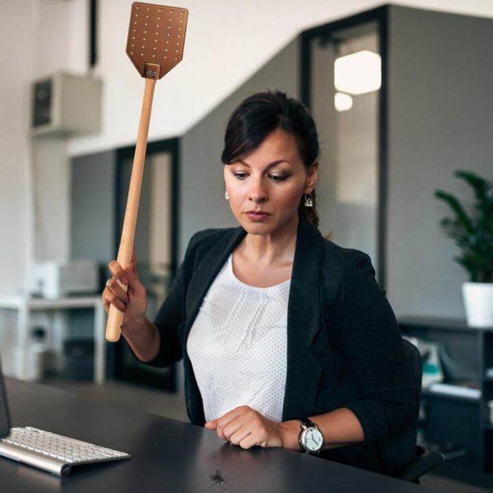 fly-swatter-mosquito-swatter-long-handle-pu-leather-flyswatter-flapper-insect-killer-indoor-bees-swatters-for-kitchen-bedroom