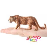 Monkey Toys - โมเดลสัตว์ Cheetah - Leopard เสือดาว ขนาด 11.00 CM (จากหาดใหญ่)