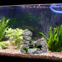 NICEFurniture Aquarium ตกแต่งประดิษฐ์เรซิ่น Rock Cave เหมือนจริงถังปลา Mountain View สำหรับ Betta Sleep Rest ซ่อน