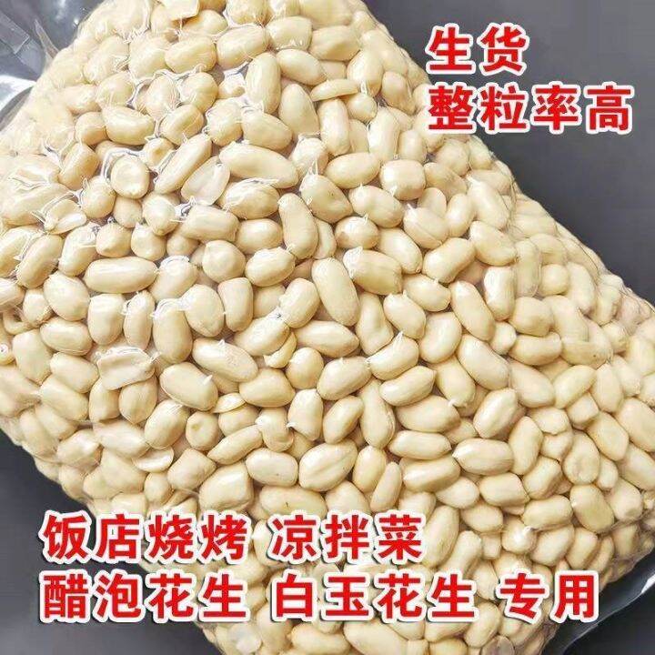 Fresh peeled raw peanuts peeled peanuts Fresh big restaurant baked ...