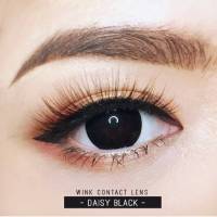 Daisy Black / Daizy Black / Kiwi Black บิ๊กอาย สีดำ ขอบดำ ดำ เน้นขอบ Pretty Doll Bigeyes Contact Lens คอนแทคเลนส์