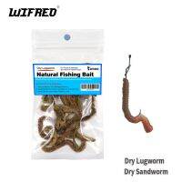 ❣☞ Wifreo Dried Bait Dry Lugworm Sandworm Fishing Bait Sea Fishing Worms Saltwater Freshwater Fishing Lures Marine Worm Catfish Cod