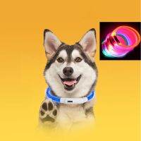 USB Charging Luminous Collar Luminous Collar Led Dog Collar 50cm Can Be Cut for All Dog Breeds Chihuahua Accesorios