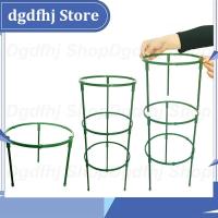 Dgdfhj Shop Plant Support Pile Stand climb for Flowers grow Semicircle Greenhouses Arrangement Fixing Rod Holder Orchard Garden Bonsai Tool