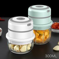 【CC】⊕❂✻  Garlic Masher Electric Mincer USB Charging Meat Grinder Vegetable Tools