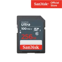 SanDisk Ultra SDXC, SDUNR 256GB, C10, UHS-I, 100MB/s R, 3x5 - SDSDUNR-256G-GN3IN