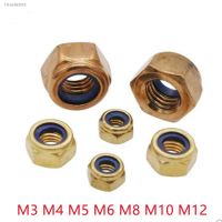 ﹍❀ 2-10pcs DIN985 M4 M5 M6 M8 m10 brass Nylon lock nut Insert Locking nuts