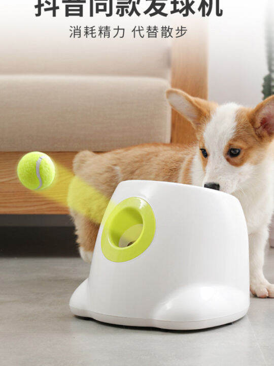 Dog Automatic Ball Dispenser Pitching Machine Training Transmitter ...