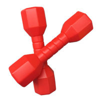 2pcs/set Exercise Fitness Equipment Early Education Home PE Fun Gym Outdoor Sports Gift Kindergarten Ergonomic Dancing Props Children Dumbbells