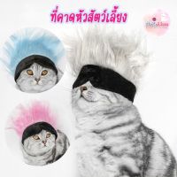 ที่คาดหัวสัตว์เลี้ยง ที่คาดหัวร๊อค หมวกแมว หัว 32-40cm Rock n Rock Pet Head Band โกโจ