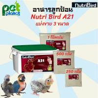 [250g.] [500g.] [1Kg.] อาหารนก อาหารลูกป้อน Nutri Bird A21 แบ่งขาย ขนาด 250 กรัม 500กรัม 1กิโลกรัม ขนมนก อาหารลูกนก อาหารลูกนกแก้ว อาหารนกแก้ว