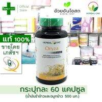 [ขวดละ 60 แคปซูล] โอไรซา น้ำมันรำข้าว บรรจุ เม็ด 500 มก ---- oryza จมูกข้าว อ้วยอัน herbal one สมุนไพร อาหารเสริม บำรุง ข้าว เหลือง สี เม็ด Ouay Un