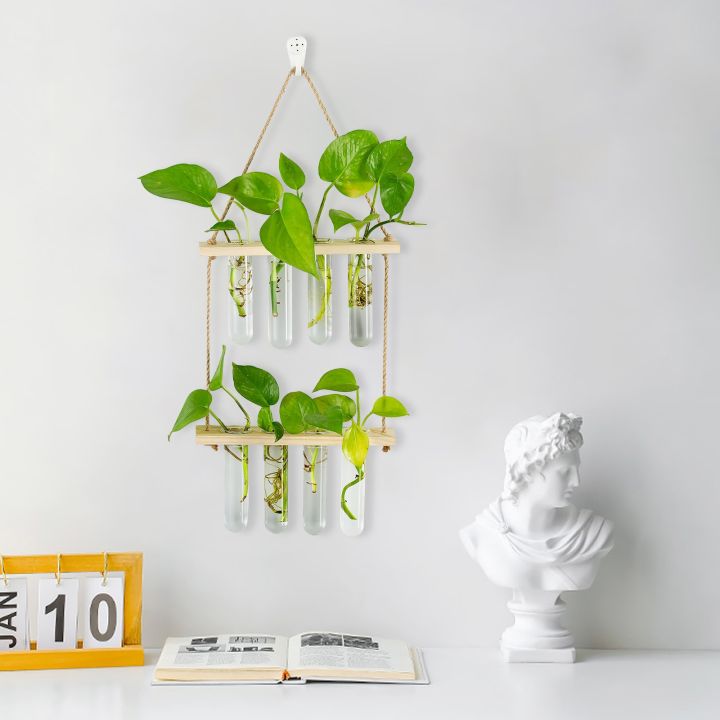 cw-hanging-propagation-wall-indoor-glass-test-tube-vases-flowers-shelf-room