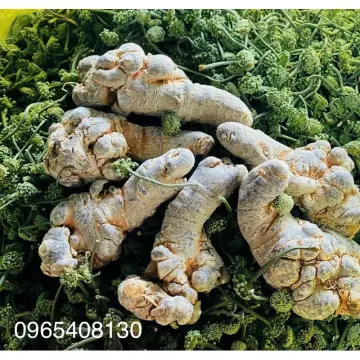 Thành phần hóa học có trong tam thất