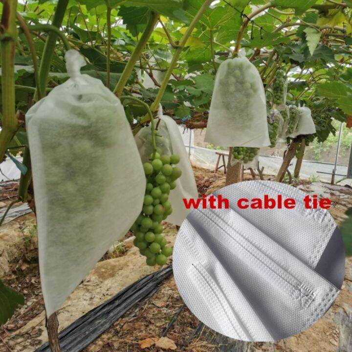 50pcs-lot-vegetable-grapes-bags-non-woven-fabric-apples-fruit-protection-bag-pouch-agricultural-pest-controlanti-bird-mesh-bags