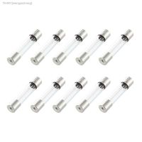 ►▧ 10 Pcs Fast Blow Type Glass Tube Fuses 6x30mm 250V 10A