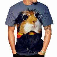 2023 Fashion 3d Printing Cute Guinea Pig Cat Summer Men Women Breathable Loose Oversized Short-sleeved Tops Clothing