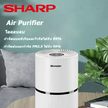 Air cleaner with hepa shop filter