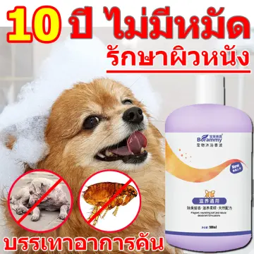 อย่าอาบน้ำน้องหมา ราคาถูก ซื้อออนไลน์ที่ - ก.ย. 2023 | Lazada.Co.Th