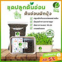 ชุดปลูกต้นอ่อนผักบุ้ง Organic 100% ( Morning Glory Sprout Kit - Organic ) GREENHUG เมล็ดต้นอ่อน