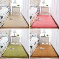 HD-80 x120 cm พรมปูพื้น ห้องนอน พรมเช็ดเท้ พรมปูพื้นห้อง พรมห้องนอน Carpet พรมขนนิ่ม พรมในห้องนั่งเล่น พรมขนสั้น