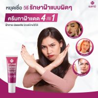 Melamii Anti-Melasma ครีมทาฝ้า ลดฝ้า ลดกระ จุดด่างดำ เมลามิ 1 หลอด 8/15 g vx