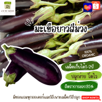 เมล็ดพันธุ์มะเขือยาวม่วง จำนวน 250 เมล็ด อัตราการงอก95% ปลูกง่าย โตไว เมล็ดเก็บไว้ได้นาน2ปี(ทุกออเดอร์ แถมฟรี! เมล็ดผักกวางตุ้ง)