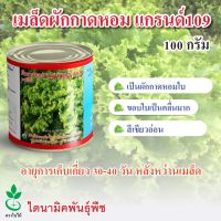 เมล็ดพันธุ์ผักกาดหอม แกรนด์109 ตรา ใบไม้ ขนาด 100 กรัม จำนวน 1 กระป๋อง จาก ไดนามิคพันธุ์พืช Lettuce seeds (Grand 109) 100 grams  from Dynamic Seeds