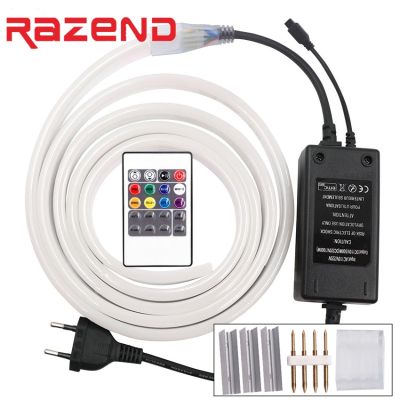 5050 2835 RGB LED Neon Light 220V 120Leds/m Waterproof Flex Led Strip Remote Controller Power Plug Kit 1m 5m 10m 20m 100m