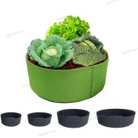 Big 50-127cm Vegetable Planter Grow Bags Pot for Plants Home Garden Tools Strawberry Fabric Jardin Growing Planter WB5TH