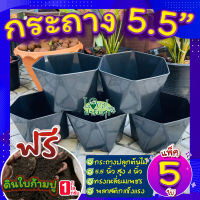 กระถาง 5 นิ้ว (เซ็ต 5ใบ)?แถมฟรี ดินใบก้ามปูหมัก 1กก. กระถางต้นไม้ กระถางพลาสติก แข็งแรงทนทาน?