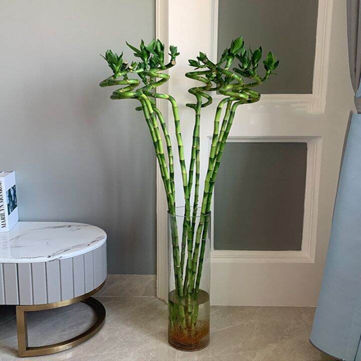 110Cm 2PC Artificial Lucky Bamboo Fake Plant Flower Aquarium Fish ...