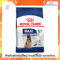 ?ล็อตใหม่ พร้อมส่ง ลด 50% ? Royal Canin Maxi Adult5+ อาหารสำหรับสุนัขพันธุ์ใหญ่ อายุ5ปีขึ้นไป ขนาด15กก เก็บเงินปลายทาง